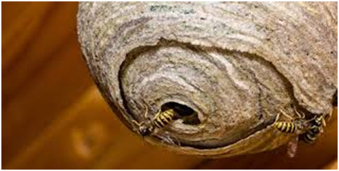 The Dangers of DIY methods