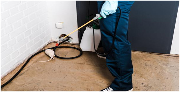 Still not working? Utilize professional pest control