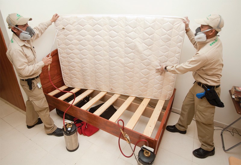 Best Bed Bug Extermination & Removal in Chicago Illinois