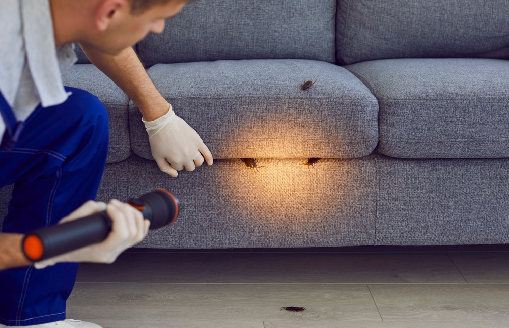 How Does Pest Control Get Rid of Roaches