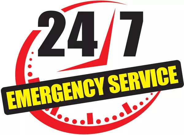 24/7 emergency pest services