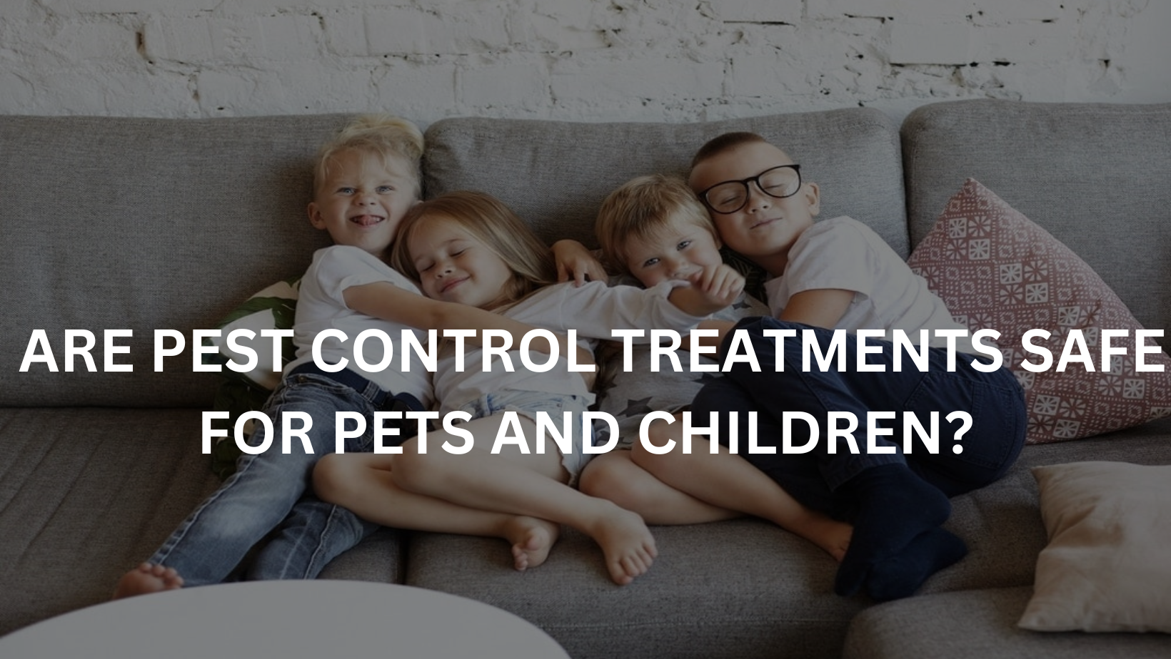 ARE PEST CONTROL TREATMENTS SAFE FOR PETS AND CHILDREN? | Quality ...