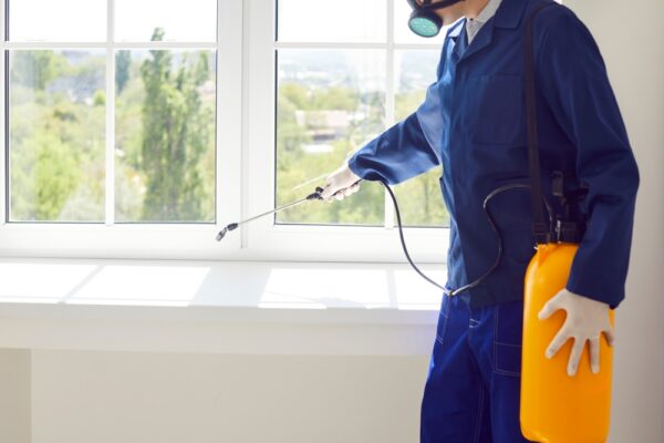 Where Does Quality Affordable Pest Control Spray In Your House?