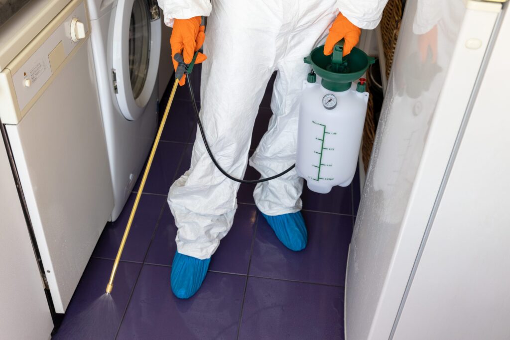 What Does Pest Control Do in Apartments Essential Guide