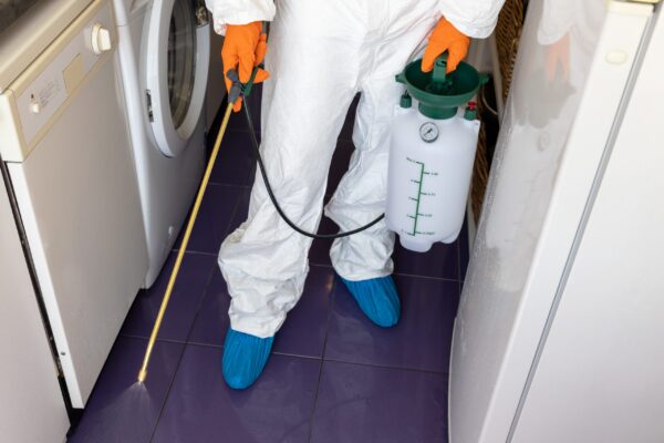 What Does Pest Control Do in Apartments Essential Guide