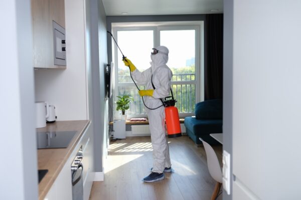 Pest Control and Rental Property Standards: The Implied Warranty of Habitability
