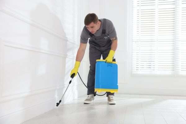 Do I Need Pest Control for a New House?