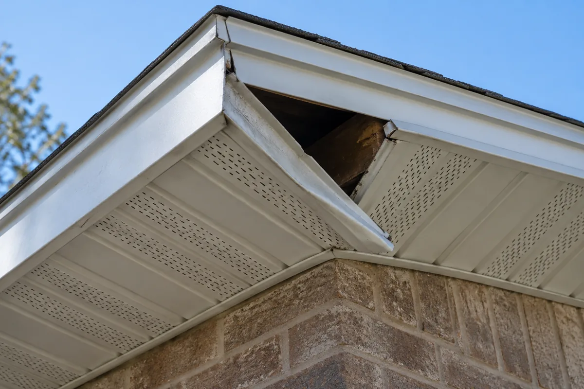 Torn soffit where a raccoon got into an attic