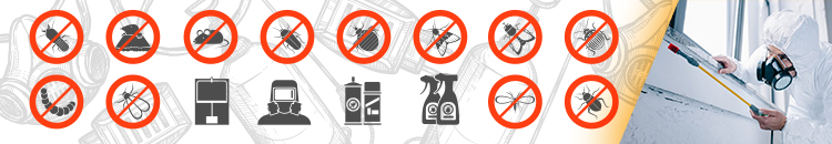 Quality Affordable Pest Control