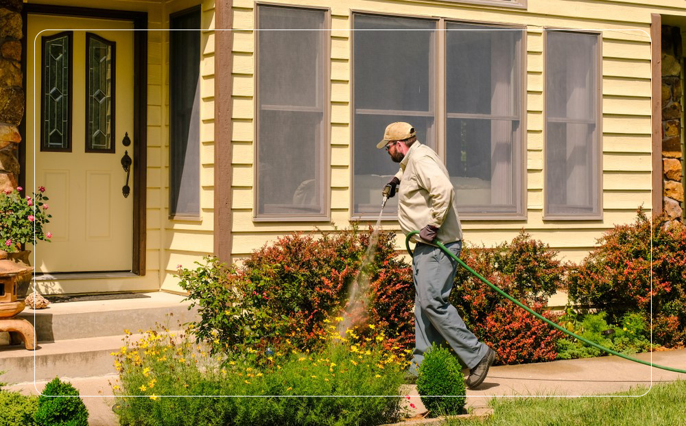 Residential Pest Control